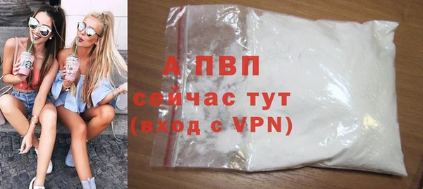 ECSTASY Абаза